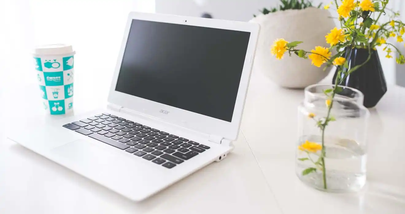 Ремонт ноутбуков Acer в Колтушах