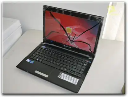 Замена матрицы Packard Bell в Колтушах